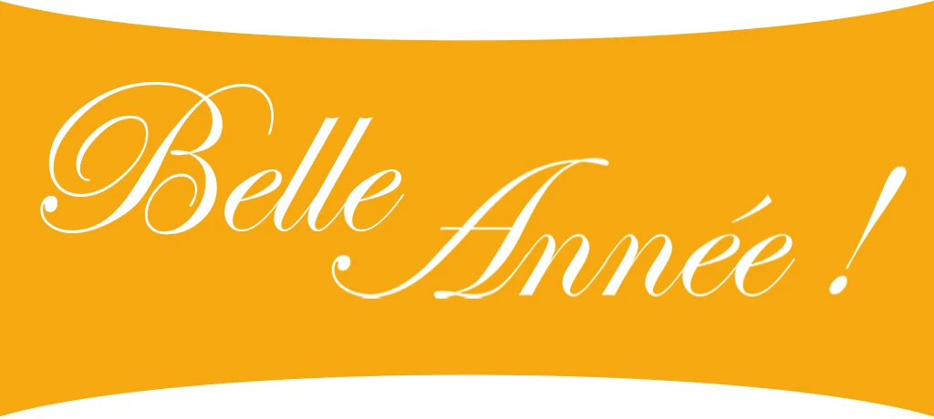 image-bonne-annee